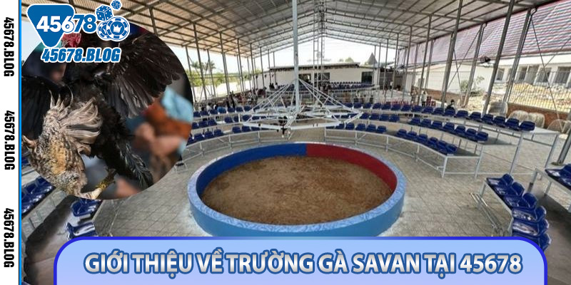 Giới thiệu về trường gà Savan tại 45678