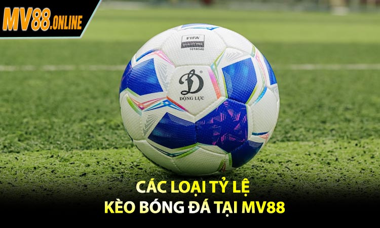 Các loại tỷ lệ kèo bóng đá tại MV88